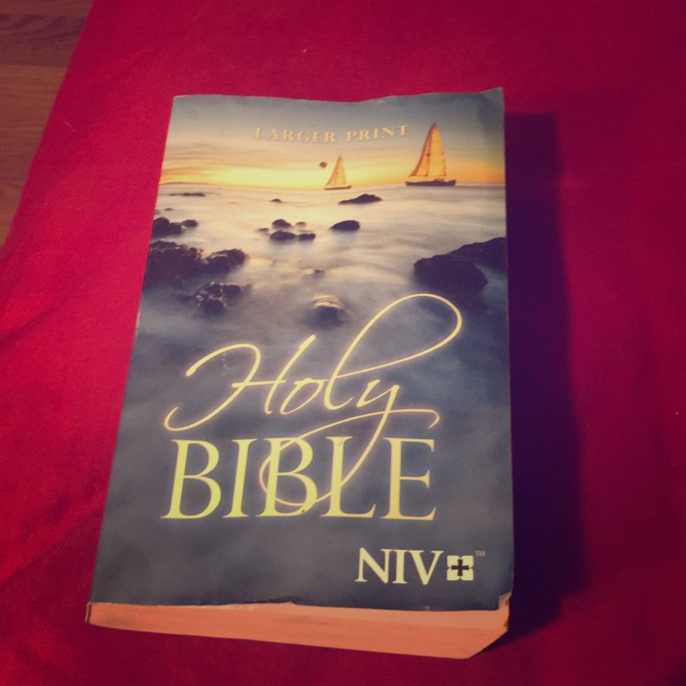The holy bible international version